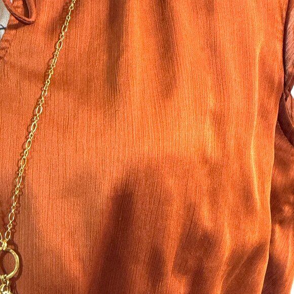 Rust Colored Sleeveless Dress - Picture 4 of 6